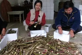 野生小竹笋太受欢迎，天然美味还便宜，用这方法剥笋又快又简单视频封面
