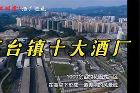 【上集】茅台镇排名前十的酒厂有哪些？剩下的五个你应该猜出来了视频封面