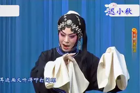 京剧《荒山泪》选段那人好似我夫面，迟小秋演唱西皮流水太好听了视频封面