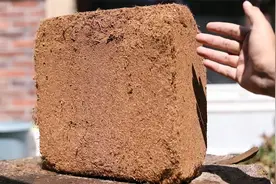 养花拌土用什么材料？园艺师教你，用大块椰砖，一次分量就足够