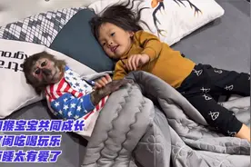 妹妹和猴宝宝共同成长，一起打闹吃喝玩乐，相拥而睡太有爱了视频封面