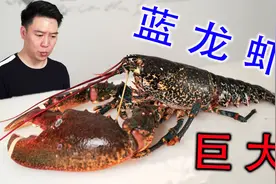 万里挑一的超大法国蓝龙虾，跟顶级和牛搭配，一口入魂视频封面