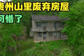 贵州山里发现一废弃房屋，环境这么好，为什么主人遗弃了？视频封面