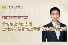 承包地流转出去后，土地的补偿和地上青苗的补偿都给谁？视频封面