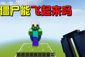 我的世界：装上鞘翅的僵尸能飞起来攻击玩家吗？