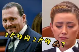 11分钟搞懂德普与前妻艾梅柏离婚大战 谁是谁非你来判断视频封面