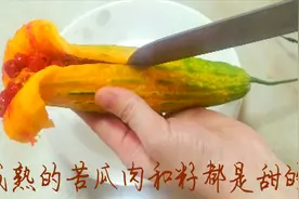 原来成熟的苦瓜更好吃，苦瓜籽和肉都能吃，甜丝丝的，口齿留香~