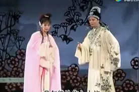 黄梅戏72本小戏之一《考婿》视频封面