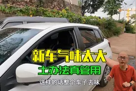 新车气味太大了，老司机教你一个土办法，效果胜过活性炭和柚子皮