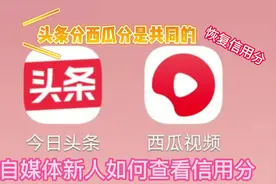 教自媒体新人，如何查看今日头条信用分和西瓜信用分@视频封面