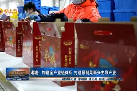 潍坊诸城：构建全产业链体系 打造预制菜新兴主导产业视频封面