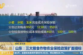 山东三大粮食作物农保政策扩面提标，进一步扩大农民权益保障范围视频封面