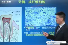 口组：成纤维细胞—七颗牙学堂口腔执业考点精讲视频封面