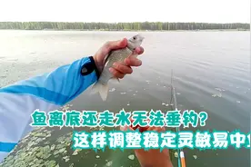 野河鲫鱼离底还走水无法垂钓？这样调整稳定灵敏，诱鱼效果还好视频封面