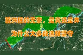 蓄洪区的无柰，是离还是弃。为什么大多数选择坚守视频封面