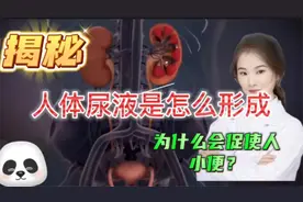 医学演绎 人体的尿液是怎么产生 尿液里面的成份是怎么得来的？