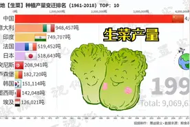 世界各地种植生菜产量统计变迁排名，生菜 当然是生吃了视频封面