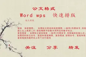 WPS WORD 高效办公 公文排版 资料 密级和保密期限  紧急程度视频封面