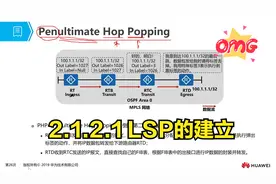 2.1.2.1 LSP的建立