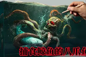骷髅八爪鱼vs海洋霸主鲸鱼，居然一招制敌？视频封面