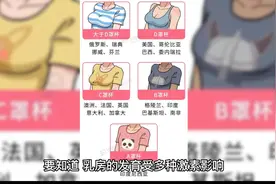 全球女性胸部大小排行公开！哪国垫底？你猜对了吗？