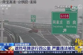 明目张胆！高速上遮挡号牌逆行4公里，这个司机被罚|东方时空视频封面