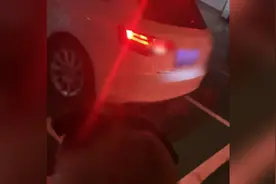 狗狗见倒车不停咆哮帮忙指挥，网友：这停车有点费狗视频封面