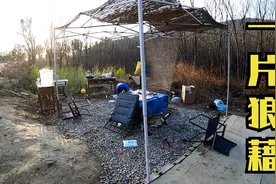 大理狂风肆虐,冬子的小院像遭遇洗劫一片狼藉,这才是真实的大理视频封面