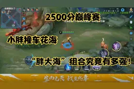2500分巅峰赛 小胖撞车花海 “胖大海”组合究竟有多强！视频封面