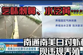 气味刺鼻、水泛黄……南通南美白对虾棚现违规养殖，废水直排黄海视频封面