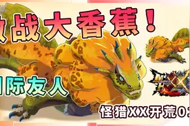 怪物猎人XX：从开荒到毕业01,与国际友人激战水兽，帅哥成功断尾视频封面
