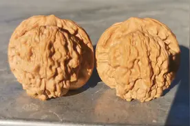 麻核桃，马老四端肩宽厚边，平底厚重敦实视频封面