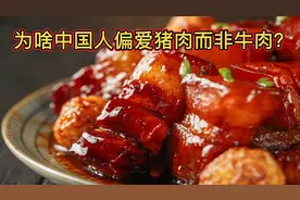 年人均吃猪肉39公斤，为啥中国人偏爱猪肉而非牛肉？#全民求知季#视频封面