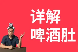 【哈士奇杂谈】详解啤酒肚