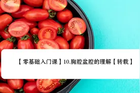 【零基础入门课】10.胸腔盆腔的理解【转载】视频封面