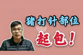 猪打针部位总起包怎么办？阿豪分享给你小技巧，从此断绝这个问题视频封面