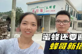 80后农村小伙返乡创业养蜜蜂，成当地最红创业人，曾上湖南卫视视频封面