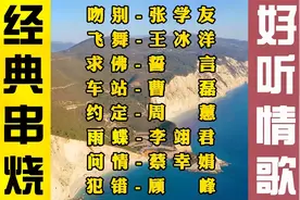 精选8首经典伤感好听情歌：《吻别》《求佛》《车站》《约定》视频封面
