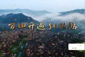 原创MV:《万山开遍红杜鹃》视频封面