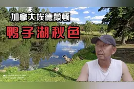 老卡给大家说说加拿大埃德蒙顿的生态环境和衣食住行视频封面