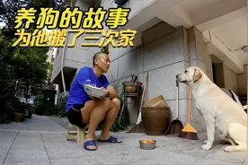养狗的故事：为他搬了三次家视频封面