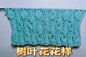教你编织一款简单好看的小树叶花样，织出来的帽子与衣服特别漂亮