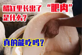 醋坛子里的“肥肉”是什么？醋蛾子红茶菌真的可以吃吗？
