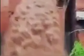 阳台变瀑布！重庆綦江再遭暴雨侵袭 洪水夺窗而过成瀑布倾泻而下