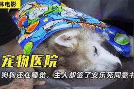 狗狗还在睡觉，主人却把安乐死同意书签了，看完忍不住泪奔视频封面