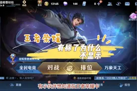王者荣耀有标了为什么不显示