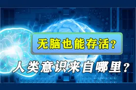 无脑还能存活？身体来自父母，人类意识来自哪里？虚拟还_42视频封面