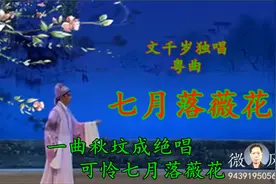 文千岁独唱：粤曲（七月落薇花）视频封面