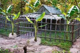 荒野兄弟野外建造地下房屋，隐蔽又安全视频封面