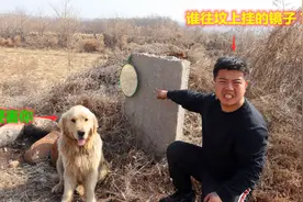 小虎的祖坟上被人挂了面镜子，金毛说有人要谋害他，是真是假？视频封面